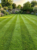green grass